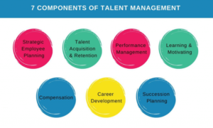 7 Components of Talent Management